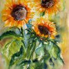 Sonnenblumen 2